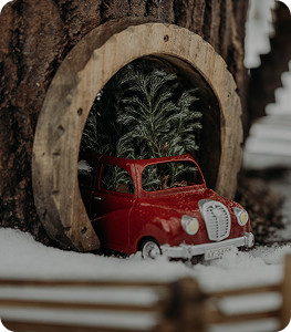 Новогодние выходные